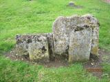 image of grave number 263440